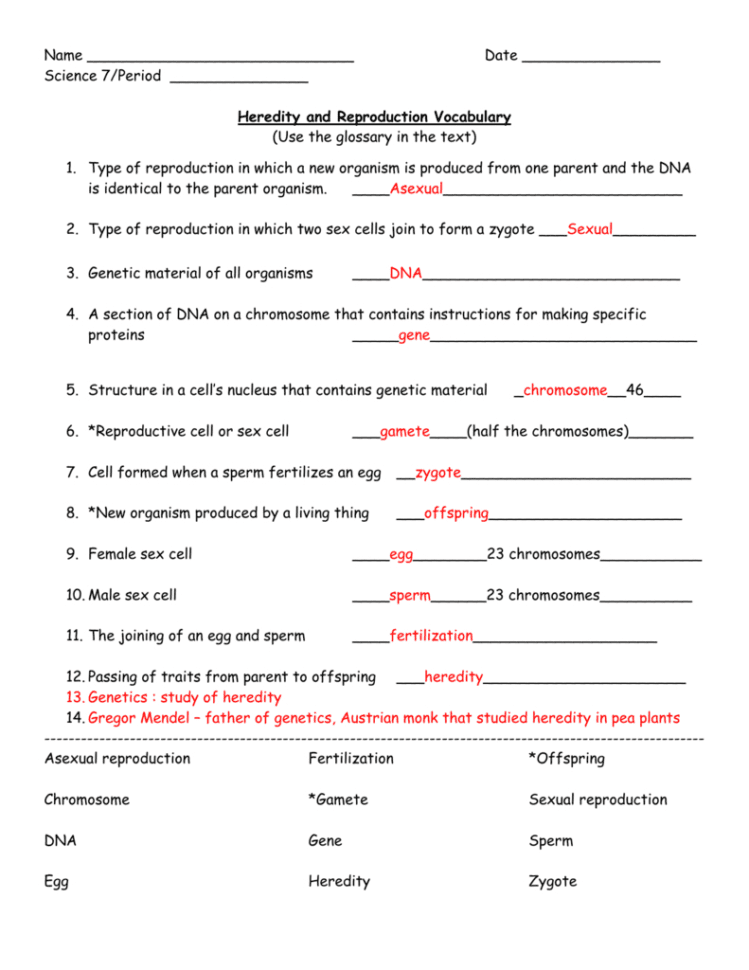 Heredity Vocabulary Key
