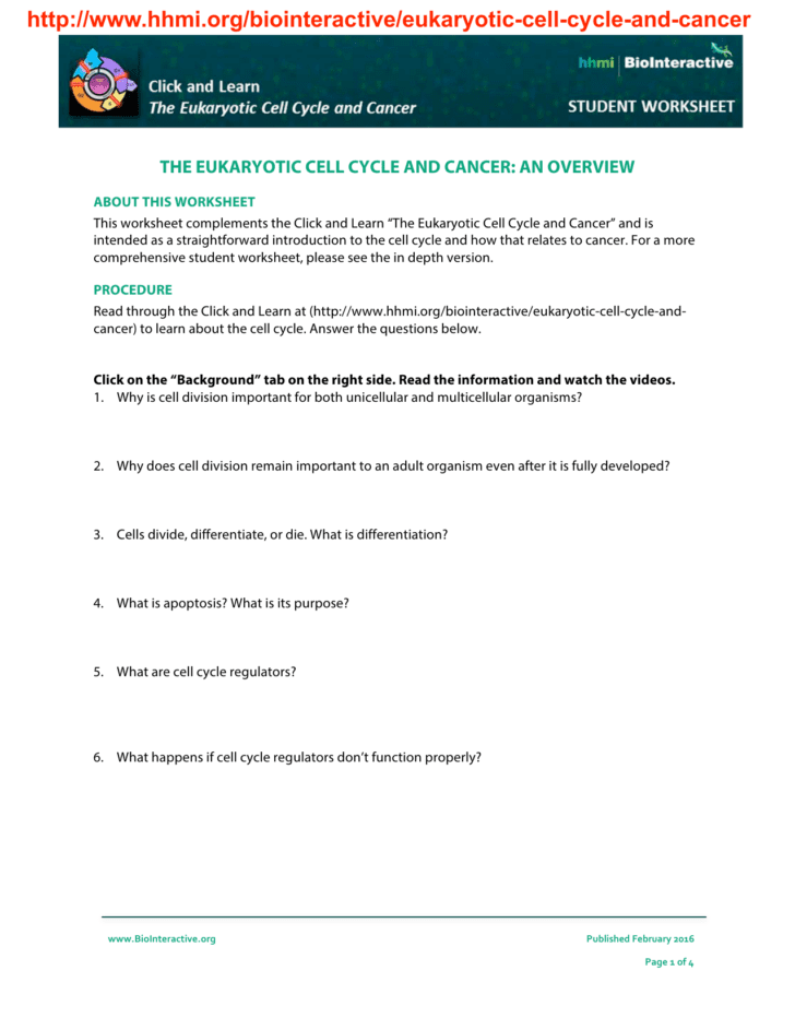 The Cell Cycle And Cancer Worksheet