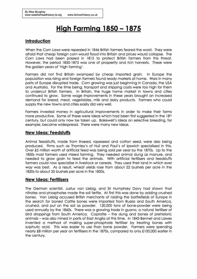 High Farming 18501875 Worksheet  Se Free Pdf Download