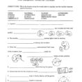 High School Health Worksheets Pdf  Learning Sample For