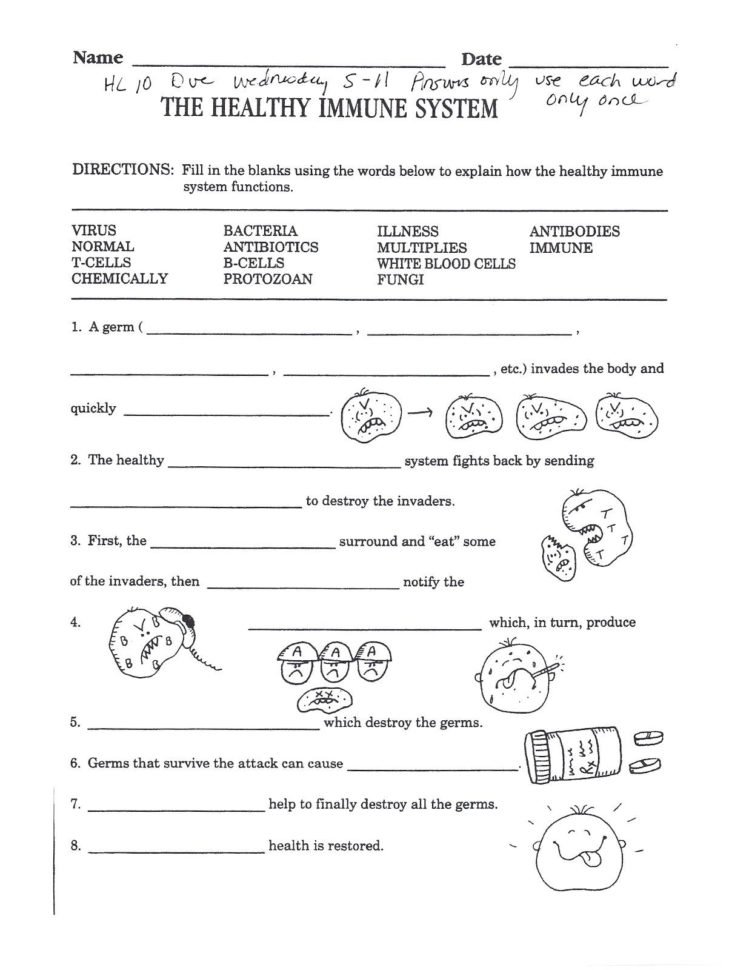 High School Health Worksheets Pdf  Learning Sample For