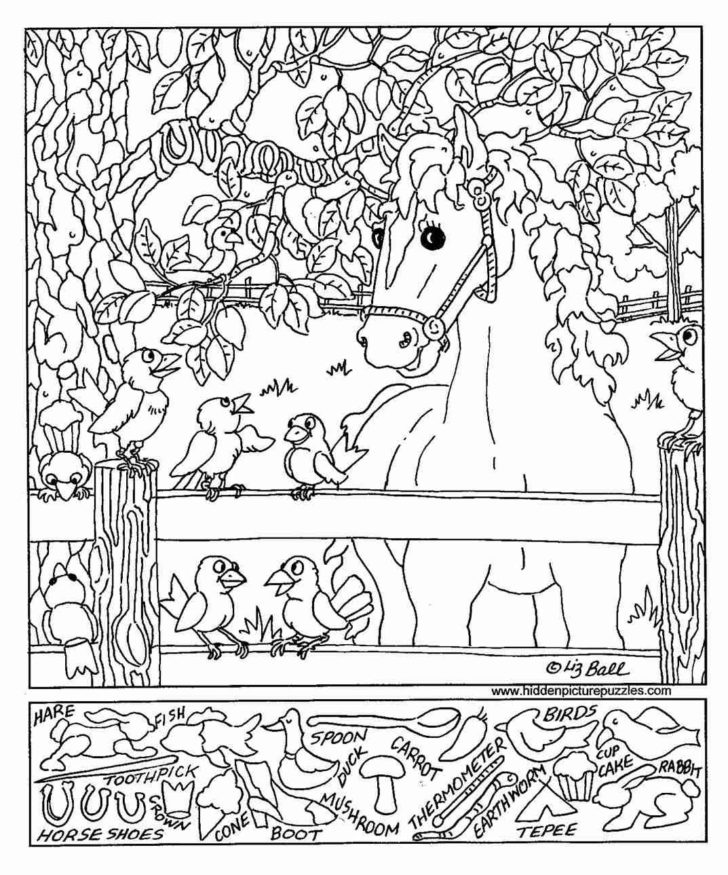 Hidden Objects Worksheets