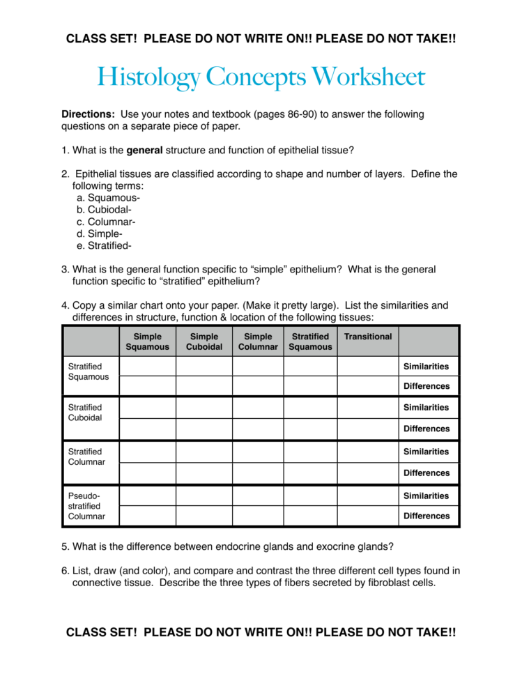 Histology Epithelial Tissue Worksheet
