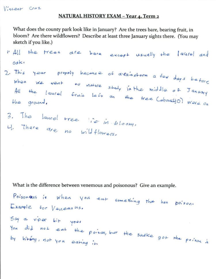 History Channel French Revolution Worksheet Answers