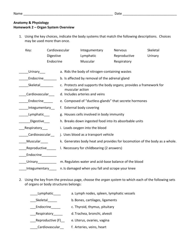 Homework 2  Organ Systems Overview With