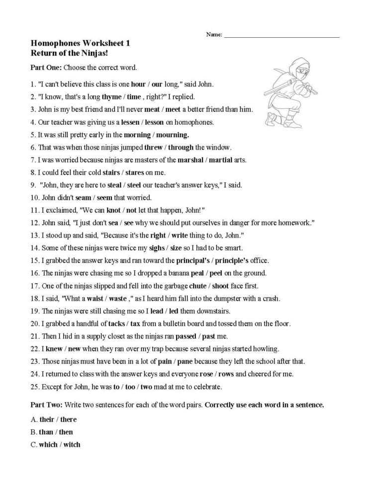 Homophones Worksheet 1  Preview