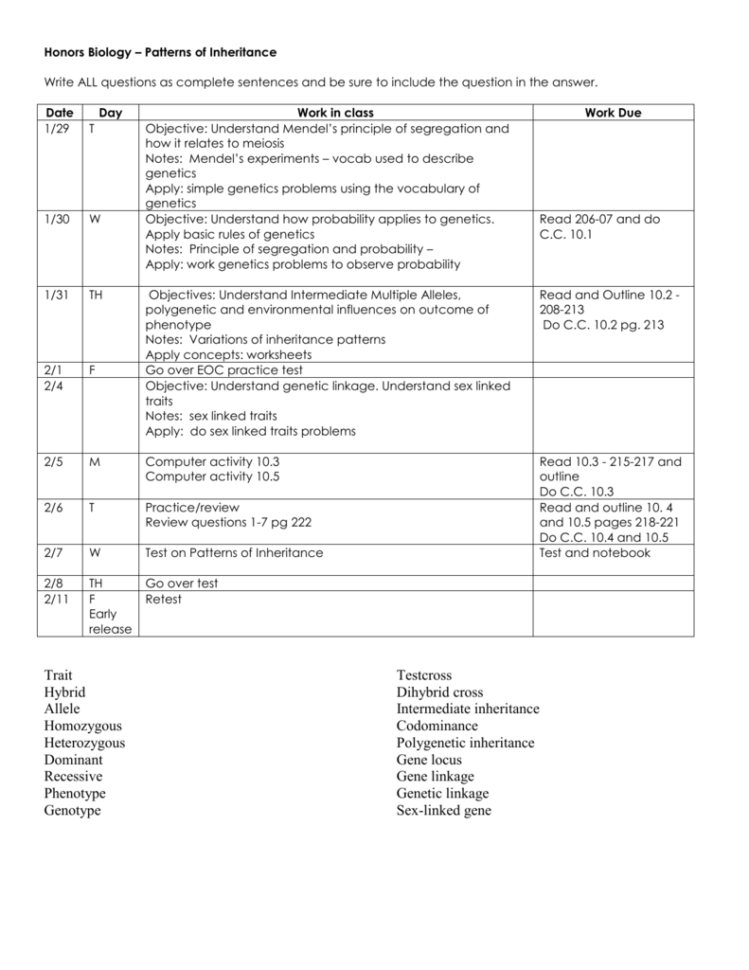 Honors Biology  Patterns Of Inheritance