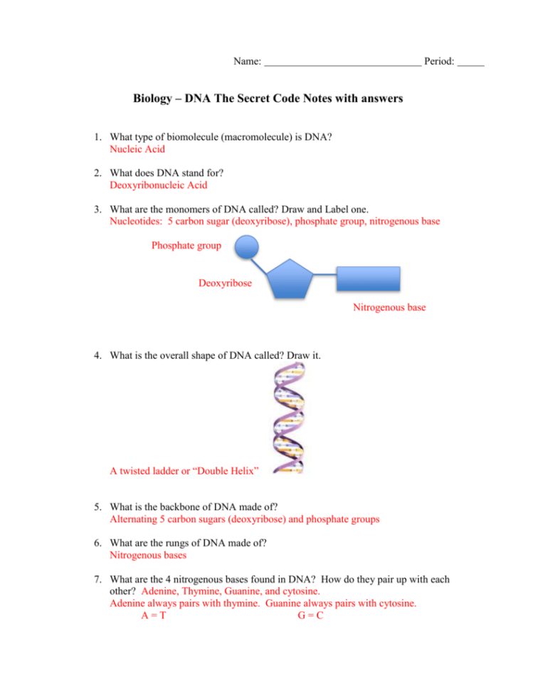 Honors Biology  The Race To Discover Dna
