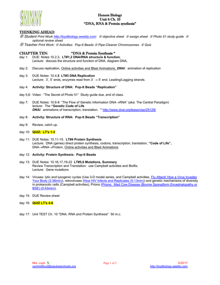 Honors Biology Unit 6 Ch 10 “Dna Rna  Protein Synthesis”