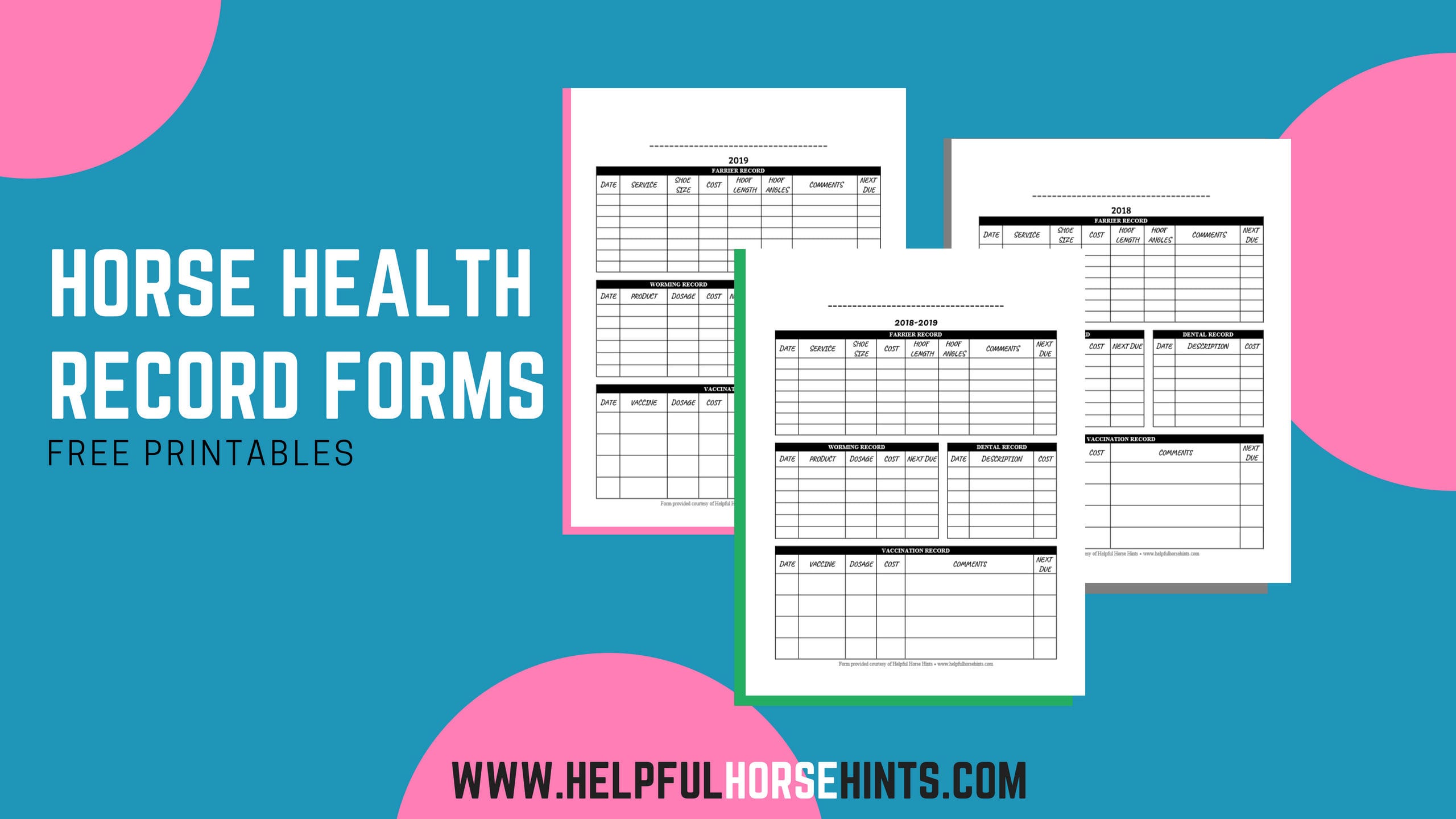 Horse Health Record Form  Free Printable Pdf  Helpful