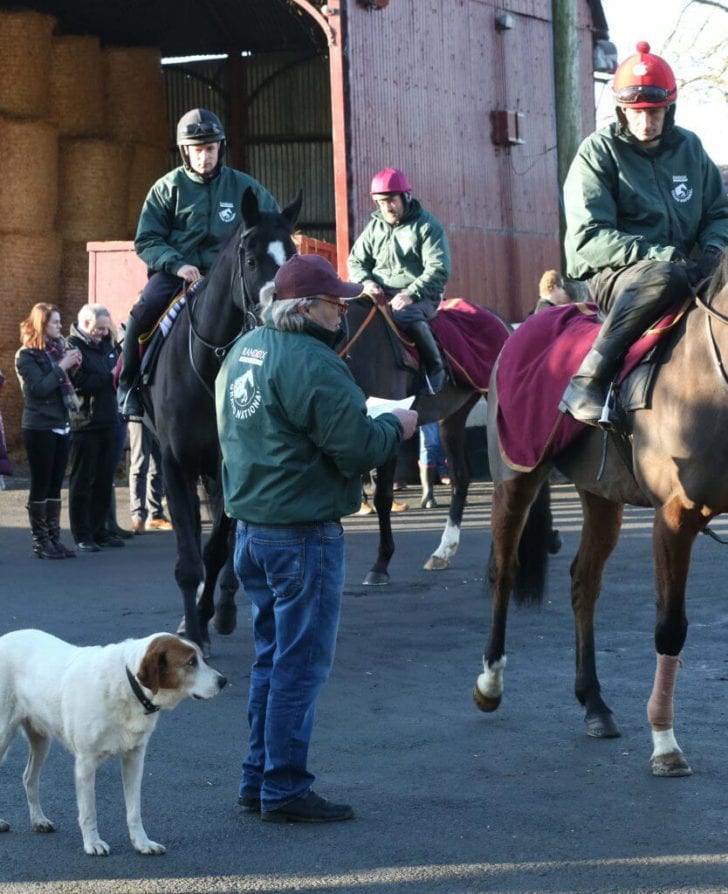 Horse Stable Management Worksheets