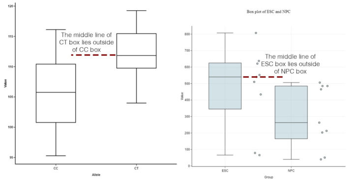 Interpreting Box And Whisker Plots Worksheet