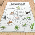How To Draw A Food Web 11 Steps With Pictures  Wikihow