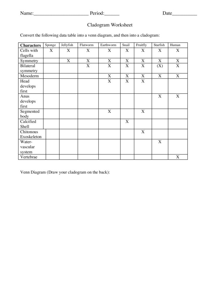 How To Make A Cladogram  Boston University  Fliphtml5