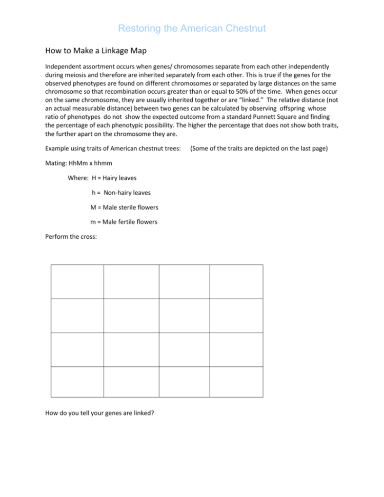 How To Make A Linkage Map