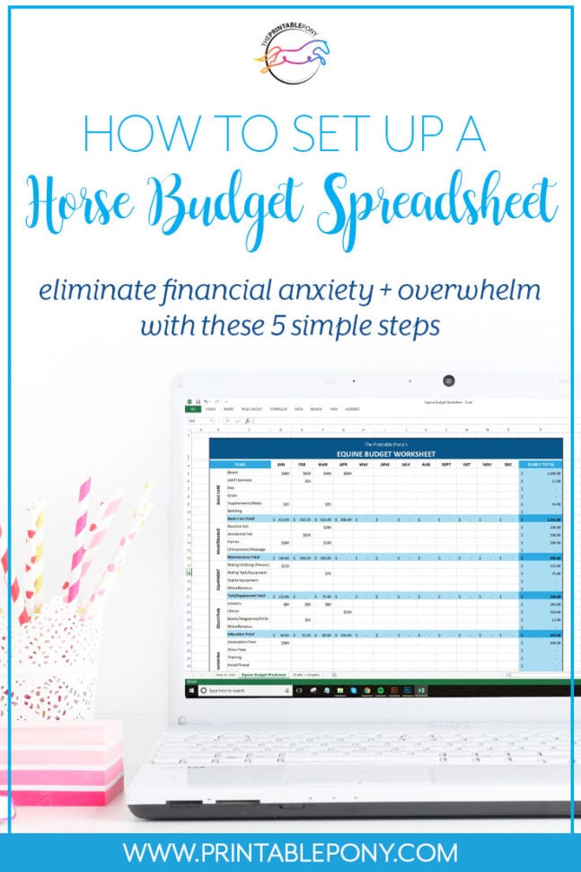 How To Set Up A Horse Budget Spreadsheet  The Printable Pony