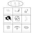 Human Body Parts Identification Worksheets  Kidschoolz