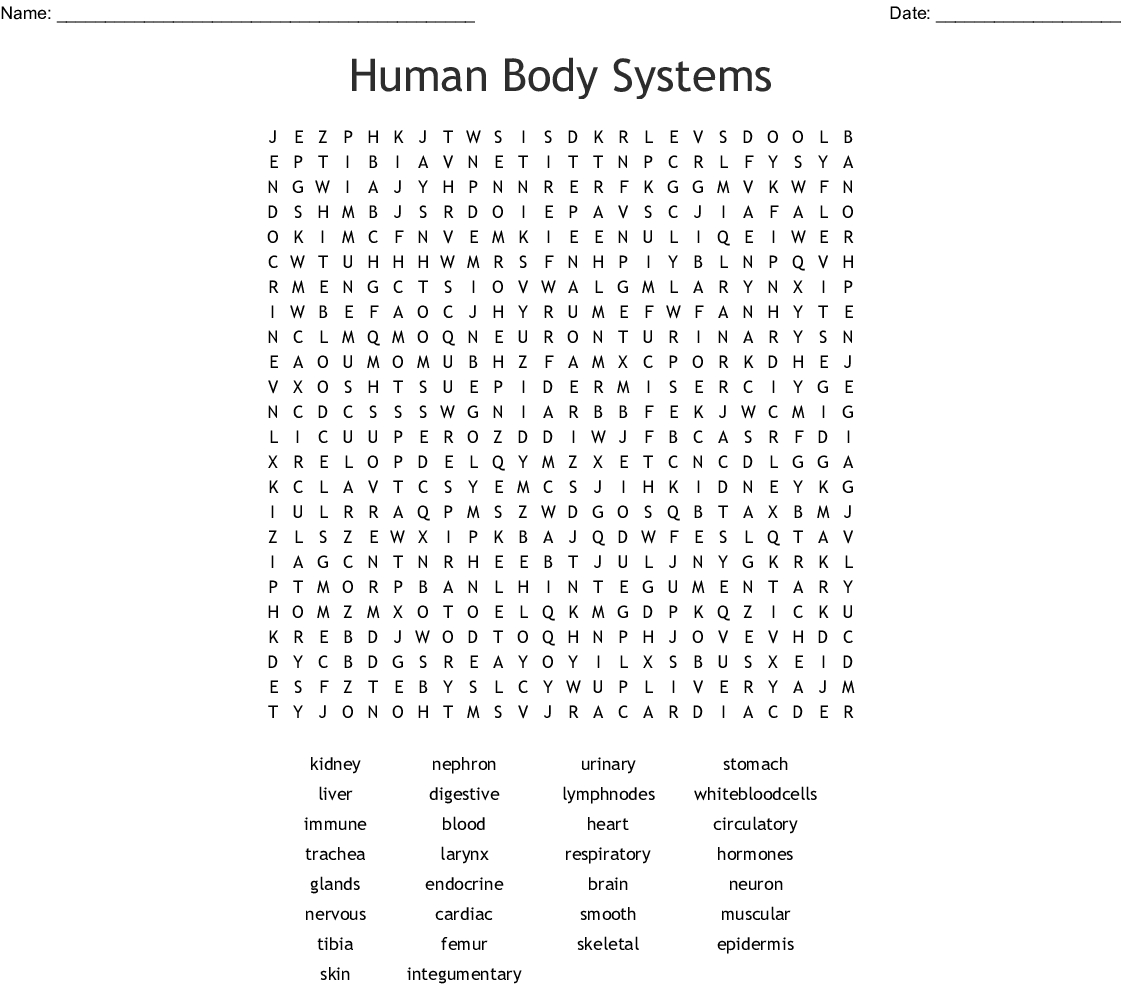 Human Body Systems Crossword Puzzle Word Db excel