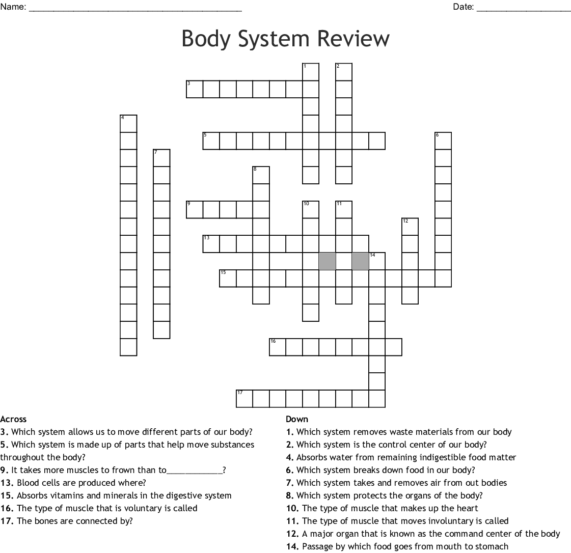 Human Body Systems Crossword Puzzle  Word