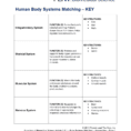 Human Body Systems Matching – Key