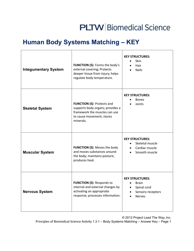 human-body-systems-worksheet-answer-key-db-excel