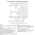 Human Body Systems Vocabulary Crossword  Word