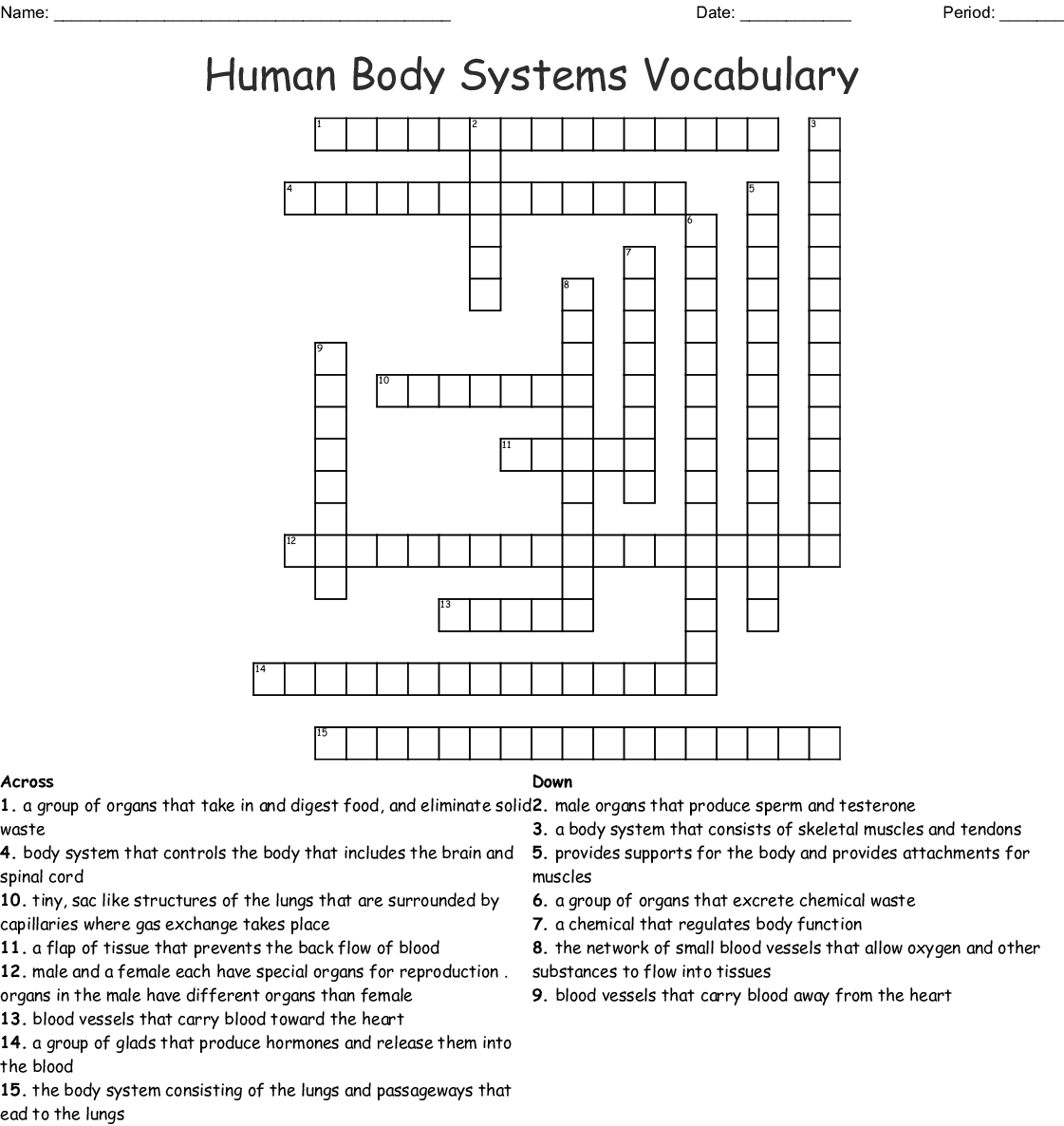 Human Body Systems Crossword Puzzle Worksheet Answers