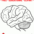 Human Brain Clipart Coloring  Worksheets  Homeschool Clipart