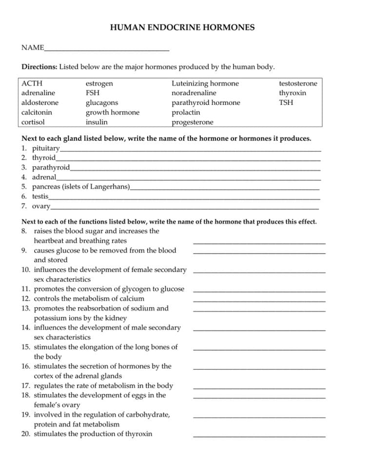 Human Endocrine Hormones