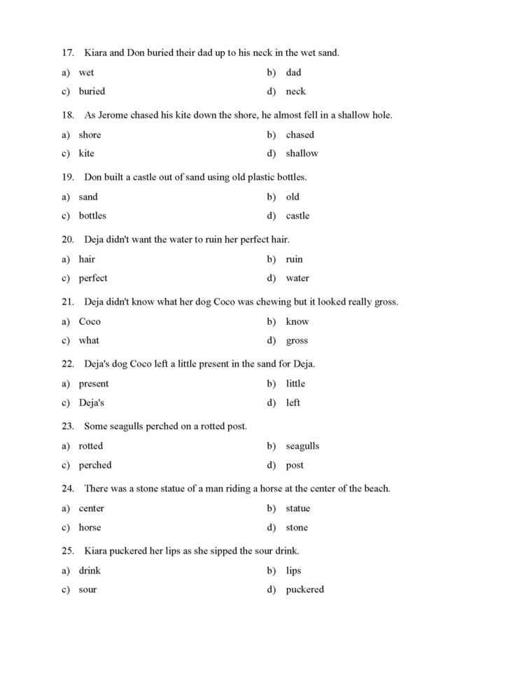 Identifying Adjectives Test 1  Reading Level 1  Preview