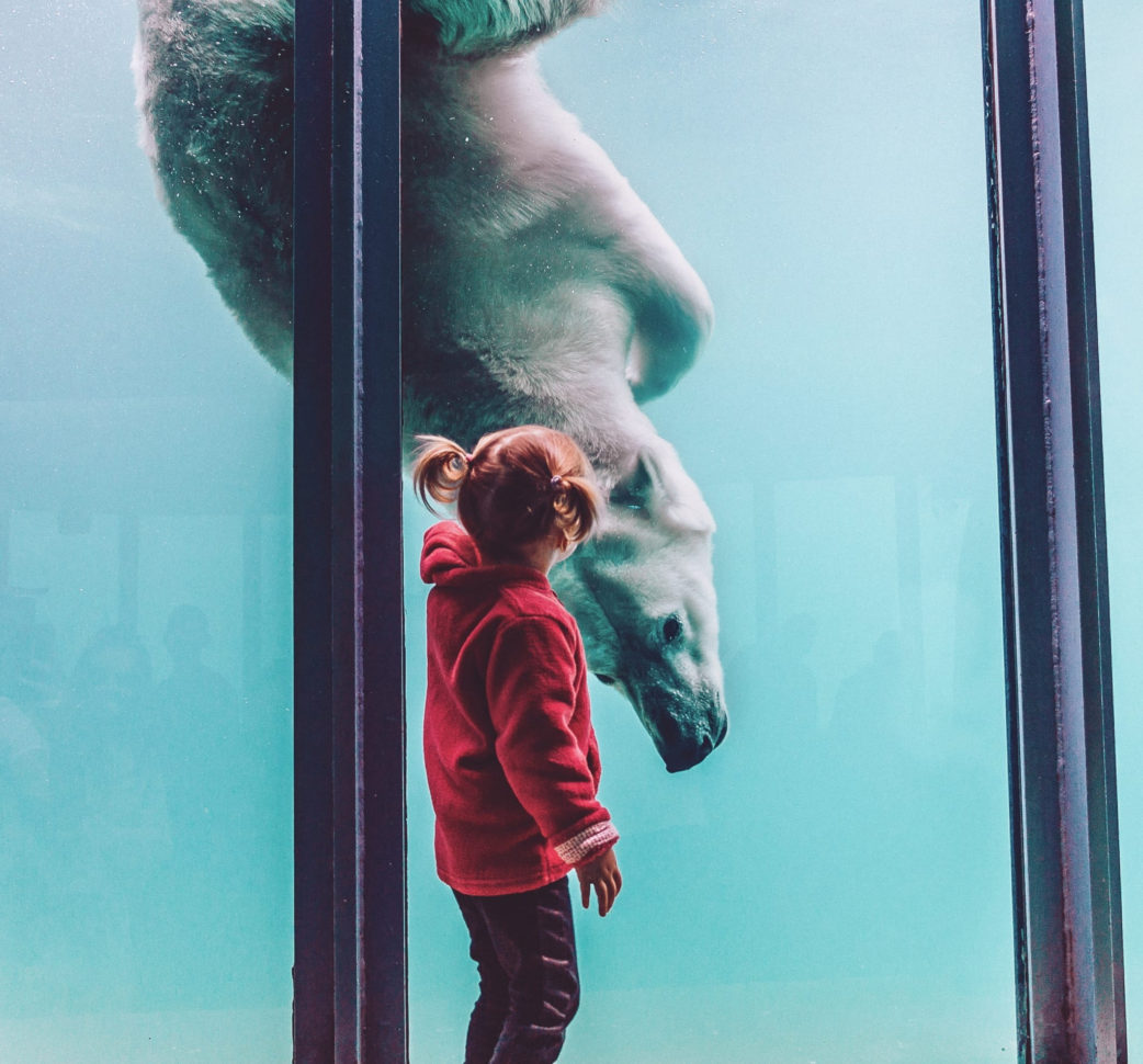 Illinois Parenting Plan   Sterling Hughes Llc