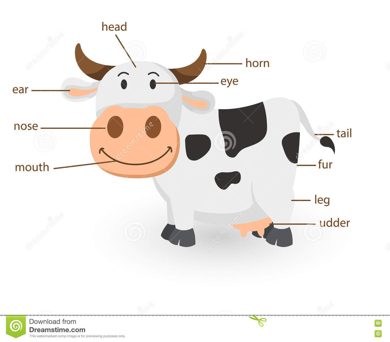 Illustration Of Cow Vocabulary Part Of Body Stock Vector