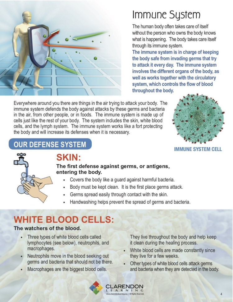 Immune System