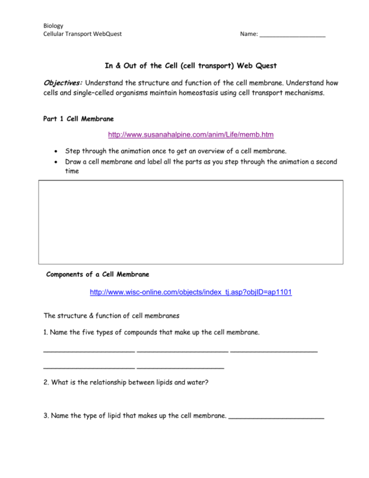 In  Out Of The Cell Cell Transport Web Quest Http