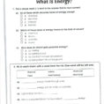 In The Womb National Geographic Worksheet Answer Key