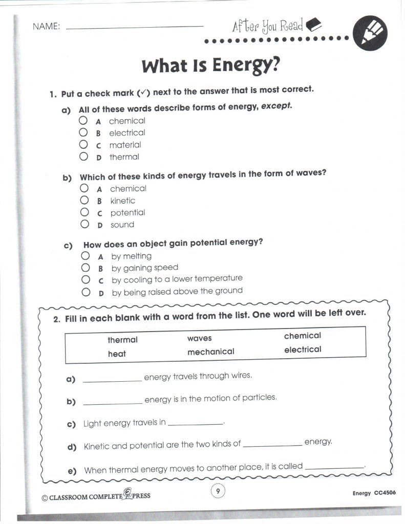 In The Womb National Geographic Worksheet Answer Key