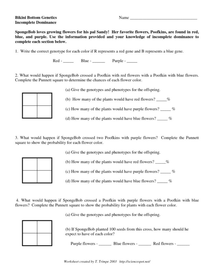 Incomplete And Codominance Worksheet As Reading Worksheets