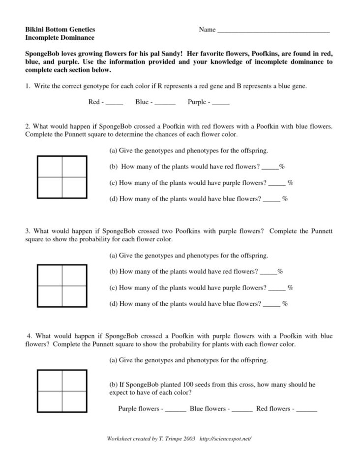 Codominance Worksheet Blood Types Answer Key Codominance Worksheet Blood Types Answer Key