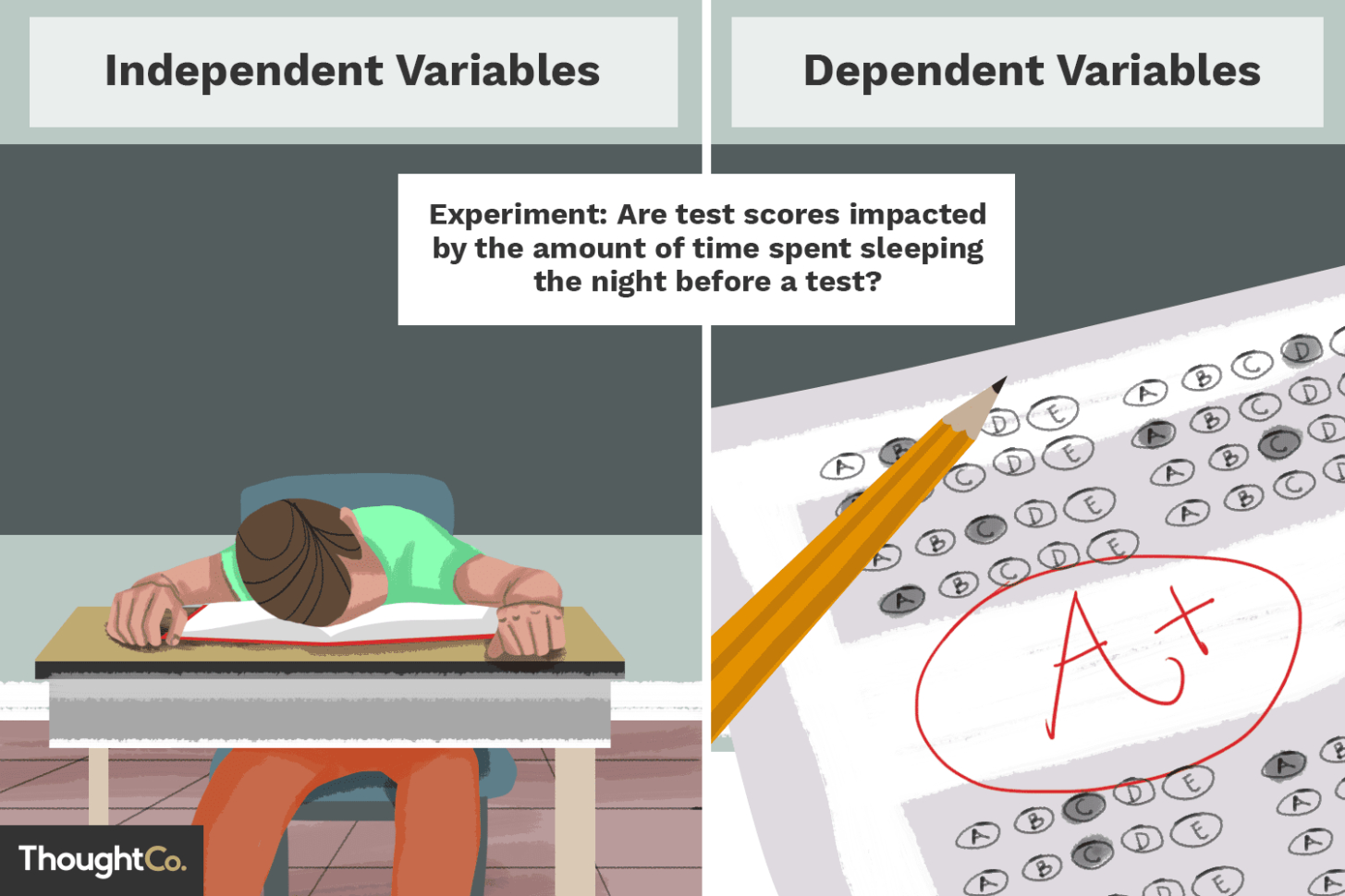 Independent And Dependent Variable
