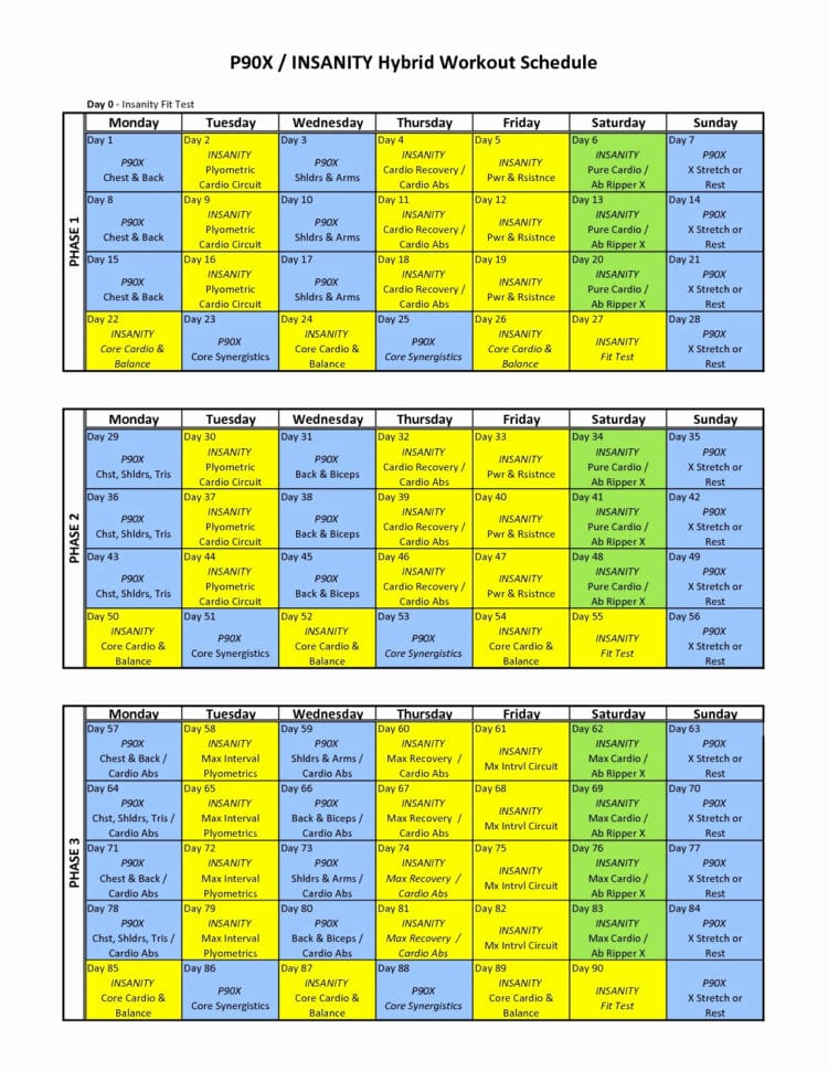 Insanity Body Beast Hybrid Awesome P90X Excel Calendar