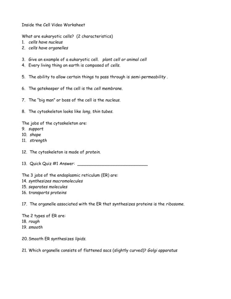 Inside The Cell Video Worksheet