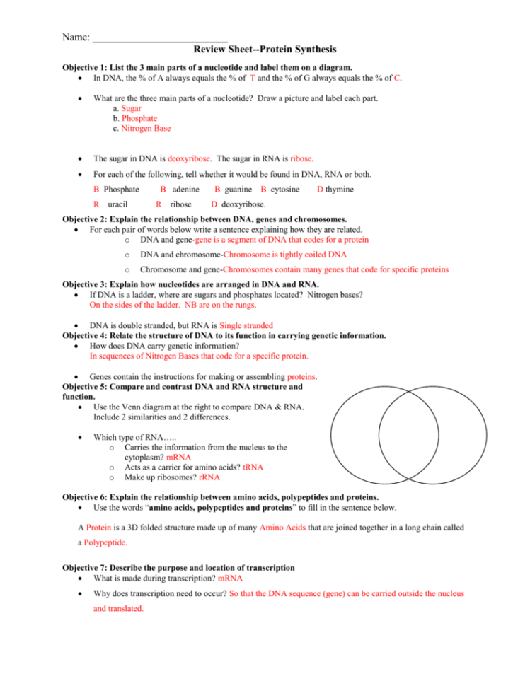 Instructional Objectives—Dna Rna And Protein Synthesis