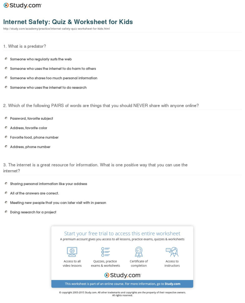 Internet Safety Quiz  Worksheet For Kids  Study
