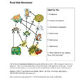 Introduction To Biotechnology Worksheet Answers