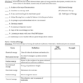 Introduction To Energy” Worksheet