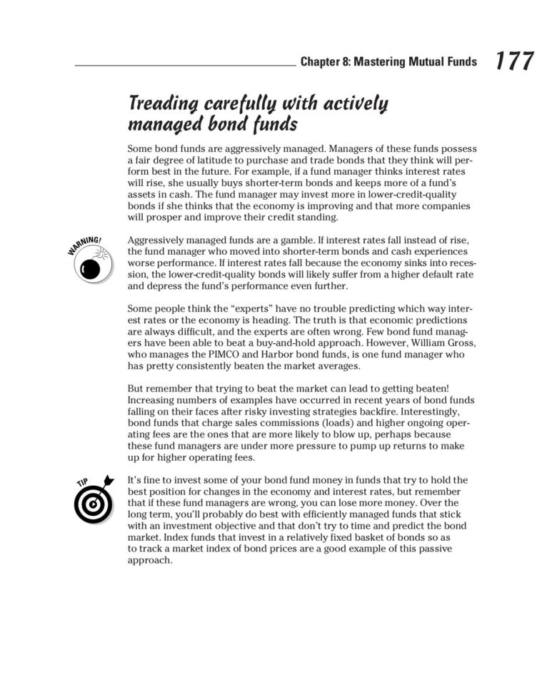 Investing For Dummies 6Th Edition Pages 201  250  Text