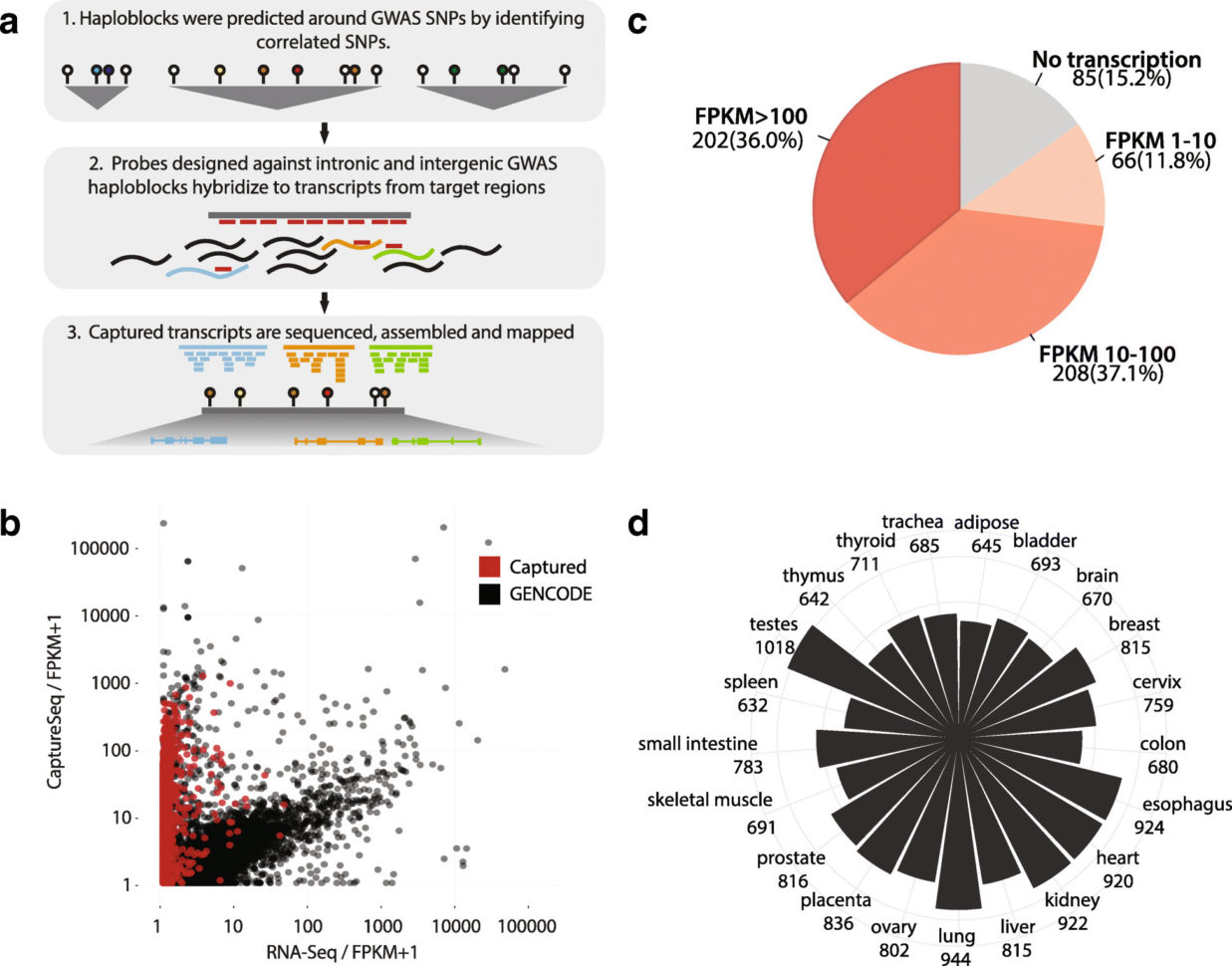 Ira Required Minimum Distribution Worksheet Ira Required Minimum