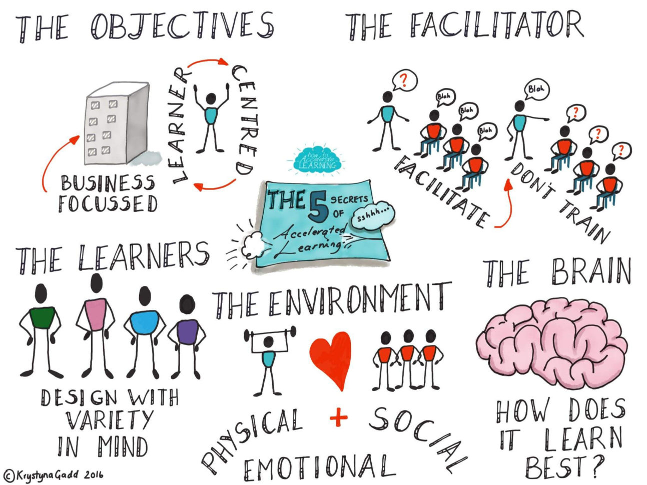 Is Accelerated Learning Applicable To Online Learning  How
