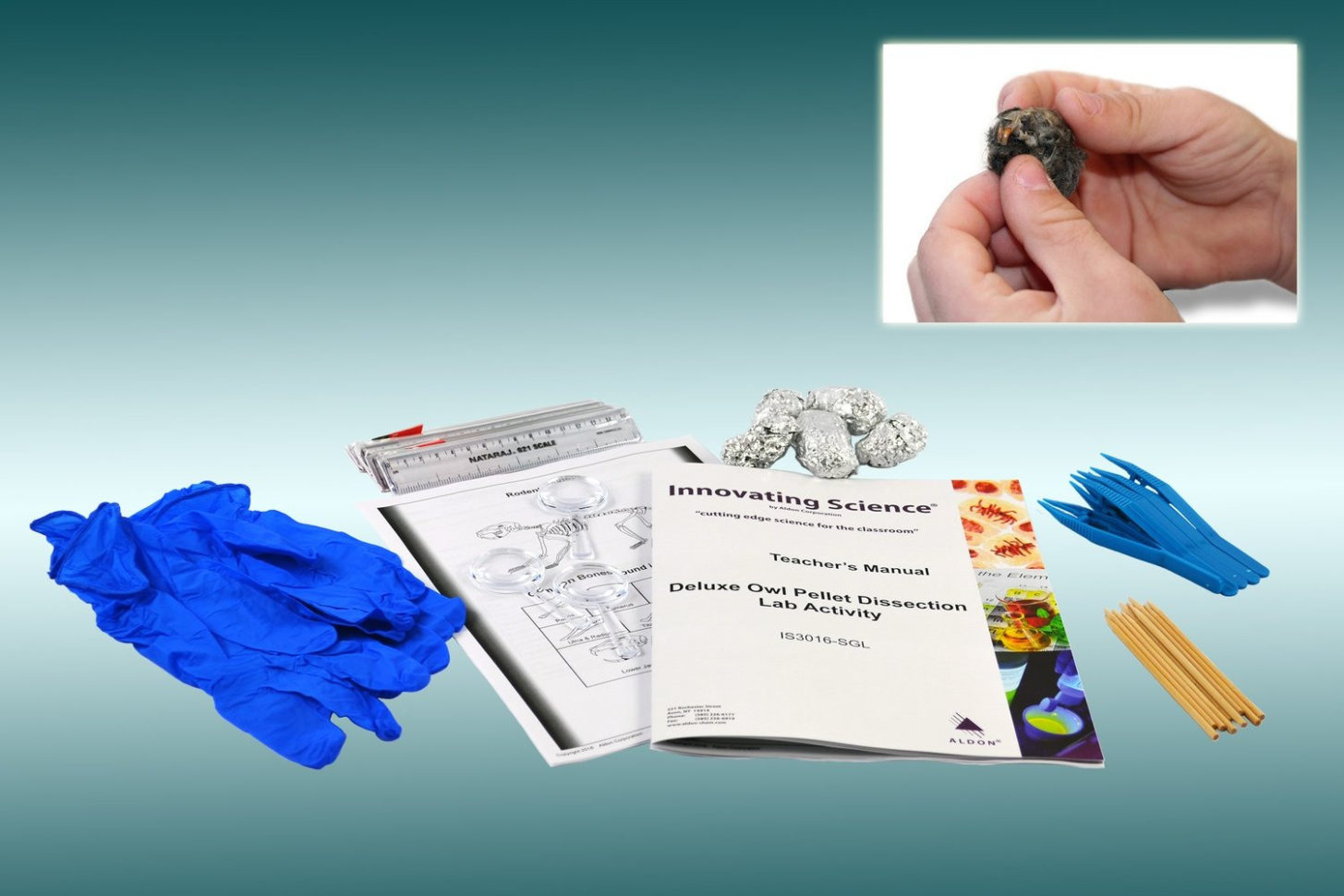 Is3016Sgl Small Group Learning Owl Pellet Dissection Lab Activity