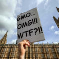 It's Ok That The Public Rejected Gm Food – After All We Did